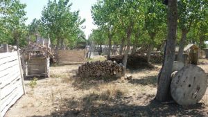 Paintball Sahaları