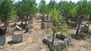 Paintball Alanı